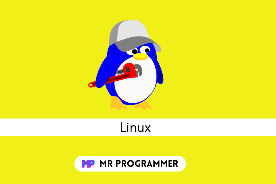 Best Operating System for Programming