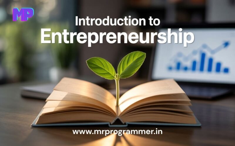 What Is Entrepreneurship
